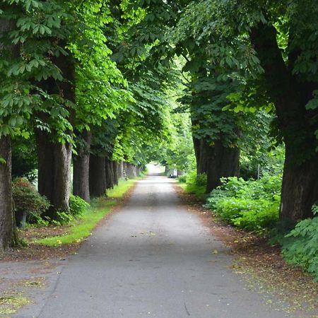 Wohnung Am Weserradweg Deesberg Eksteriør billede